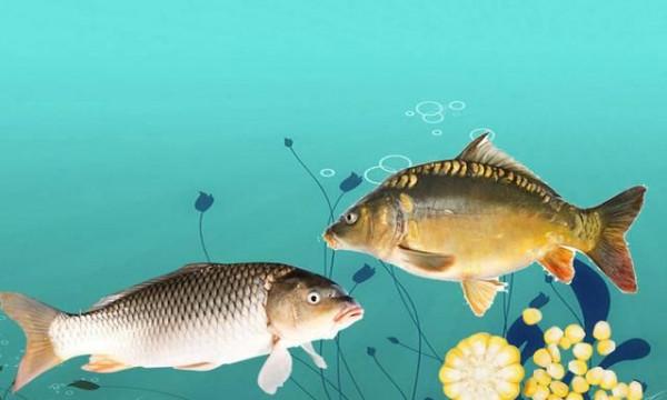 造成魚吃餌擋口除釣鉤大、子線粗外還有一個原因，你知道嗎？