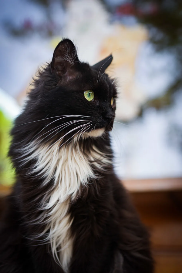 小甜妞兒喜歡硬枕頭