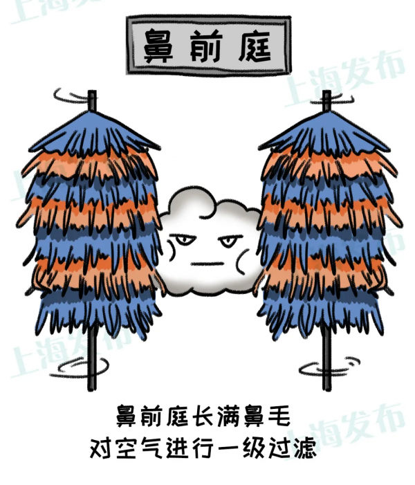 【醫聊】@鼻炎深度使用者，為什麼“傳送”這麼多鼻涕？