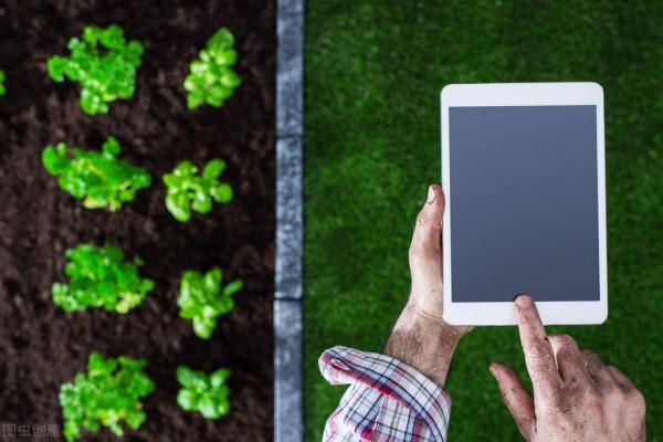 中央農村工作會議釋放8大訊號,鄉村振興,老百姓要把握好機會 中央農村工作會議釋放8大訊號,鄉村振興,老百姓要把握好機會