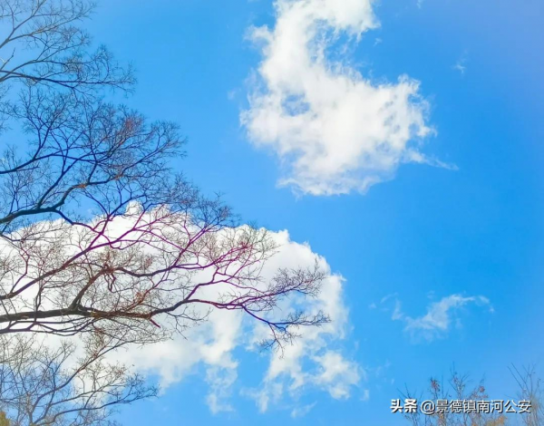 詩詞|這些朗朗上口的冷門詩詞,沒讀過可是一大損失 詩詞|這些朗朗上口的冷門詩詞,沒讀過可是一大損失