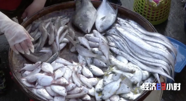 火了！老奶奶做的“網紅魚丸”，年入千萬元