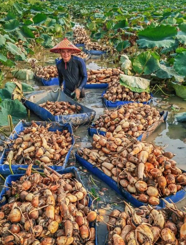 成年人玩得這麼野，小心把命都玩丟了