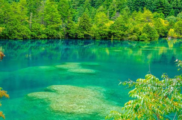 2022春節雲旅遊,在家看人頭:你心中的首選景點是哪個? 2022春節雲旅遊,在家看人頭:你心中的首選景點是哪個?