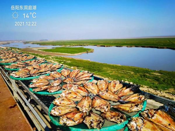 86天，28300公里，難忘的追夢之旅