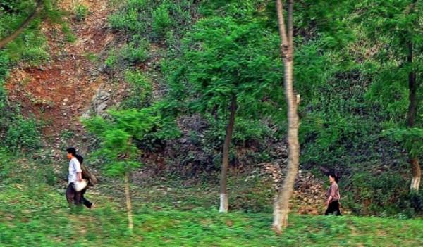 朝鮮觀察，朝鮮百姓為什麼喜歡步行？