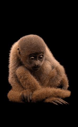 一組活久未見的照片，丹麥牢房傢俱設施一應俱全，像是活在天堂中