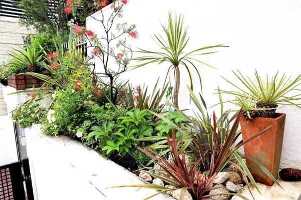 老人改造一個25年的70平米老花園,網友:幸福美滿的退休生活 老人改造一個25年的70平米老花園,網友:幸福美滿的退休生活