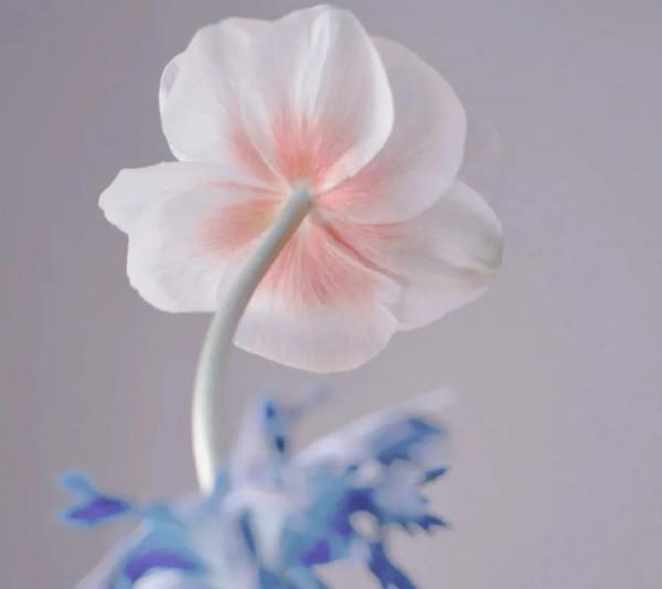 《道德經》一個人慾望越少，內在智慧越多，也就，越靠近本源