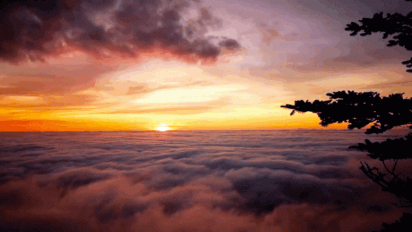 當火車開過來時，人躺在鐵軌中間能活命嗎？解開大家多年的疑惑