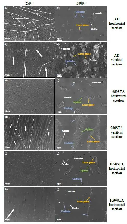 深入探究各向異性：鐳射增材製造鎳基高溫合金強度大幅提升