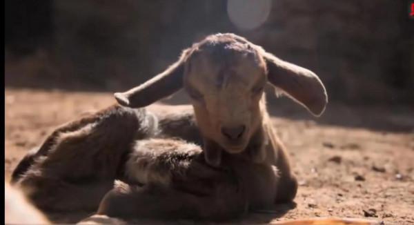 母親揹著40天的嬰兒，徒手攀爬400米垂直懸崖，只為得到上帝庇佑