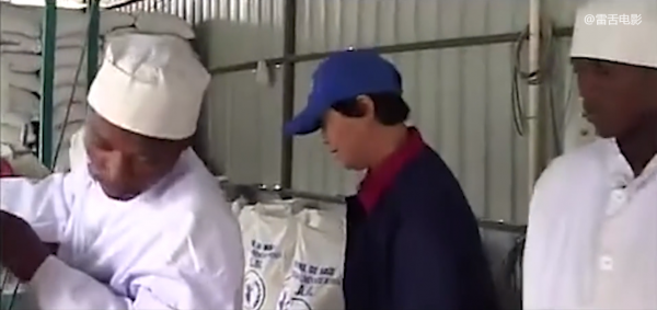 中國人想去非洲掙大錢,結果卻混成菜農,喝水都成奢侈!紀錄片 中國人想去非洲掙大錢,結果卻混成菜農,喝水都成奢侈!紀錄片