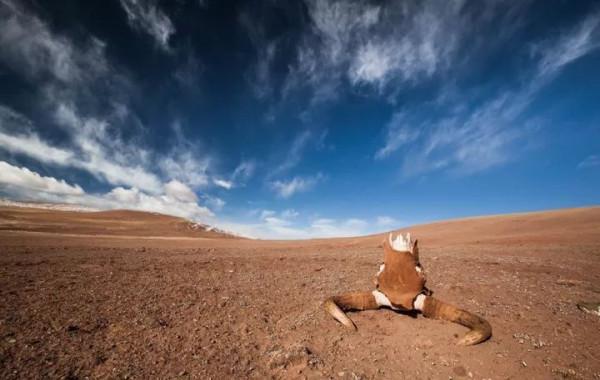 中國旅行中的八大禁地