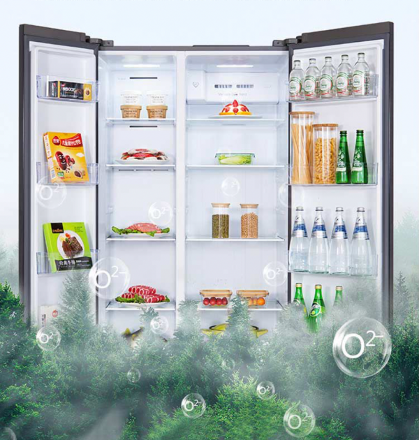 如何選擇一款好看又能打的冰箱，這份雙十一冰箱推薦攻略不要錯過