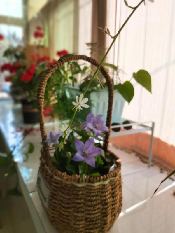 一角一落,一茶一花,讓家成為可以治癒一切的地方 一角一落,一茶一花,讓家成為可以治癒一切的地方