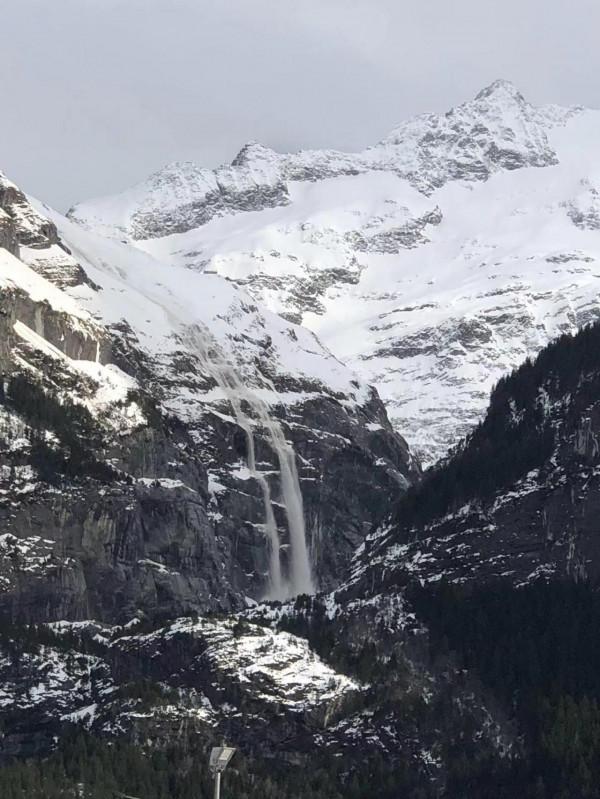 格林德瓦-誤入仙境的驚喜