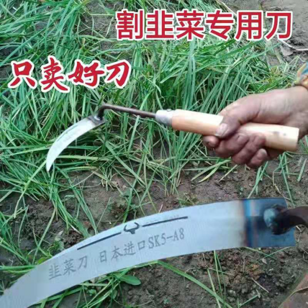 營養膏，養貓圈最大的智商稅產品