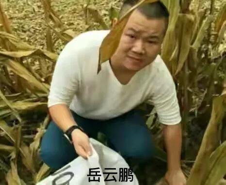 盤點娛樂圈明星迴農村幹農活誰最接地氣？