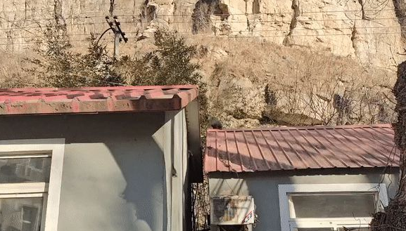 50只獮猴下山集結村民家，噠噠噠的腳步聲從屋頂跑過，嚇壞屋主