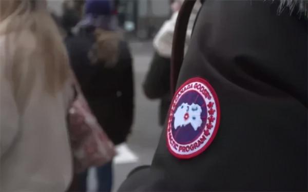 鏈客日報 | 京東物流與中國農批冷鏈專線正式首發;加拿大鵝被約談 鏈客日報 | 京東物流與中國農批冷鏈專線正式首發;加拿大鵝被約談