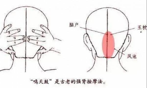 “世”說新語 | 從“耳聰目明”聊聊“耳”和“目”跟中醫理論中臟腑的關係 “世”說新語 | 從“耳聰目明”聊聊“耳”和“目”跟中醫理論中臟腑的關係