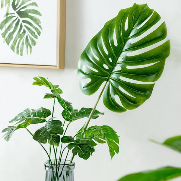 建議：適合客廳養的“大盆栽”，顯高階，幸福感倍增