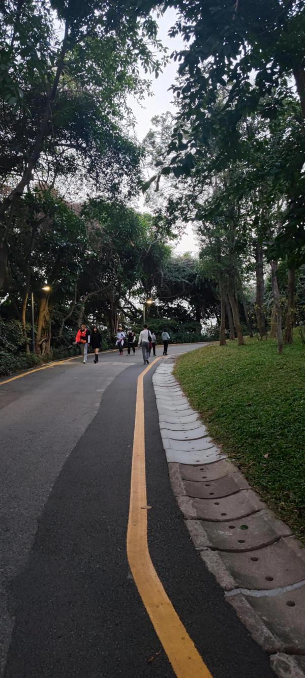 你們要的來了，小米MIX4的夜景拍照效果