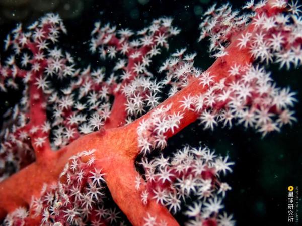 中國:萬島之國! 中國:萬島之國!