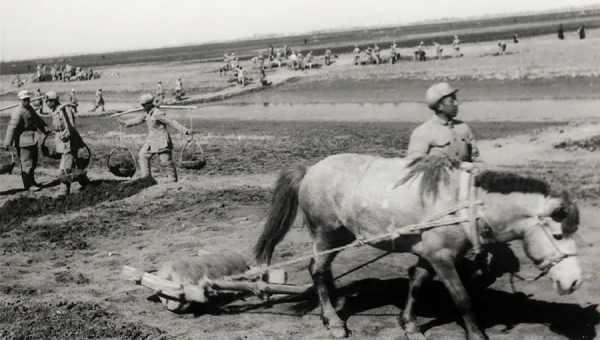 志願軍一仗殲敵1.5萬，偉人卻把功勞記朝軍頭上！戰後才知高明