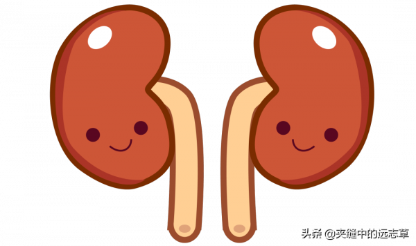 目昏，目幹，迎風愛流淚？送你八味中藥，養心神，補肝腎