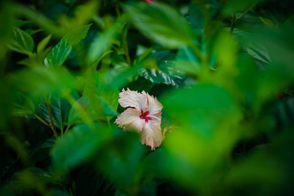 白羊座周運勢9.20-26，有貴人相助，財運不會差，多聽前輩的建議