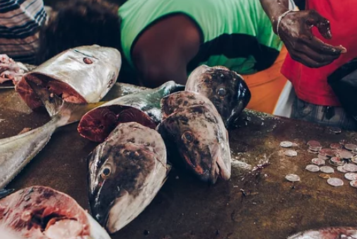 哪些魚營養更好？有3種吃魚方法，會讓你得不償失