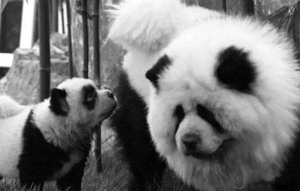 央視“鬧鬼”節目停播:《走近科學》往事 央視“鬧鬼”節目停播:《走近科學》往事