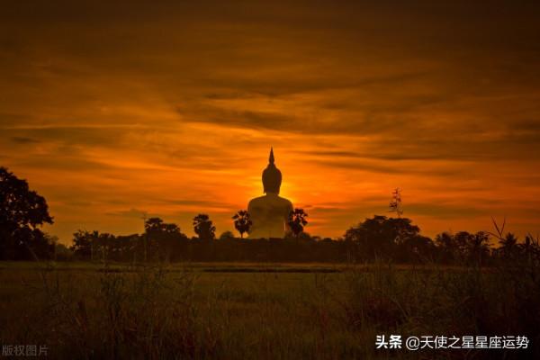 明日運勢：11月11日星座運勢 蘇珊 雙胞胎 咖啡占星