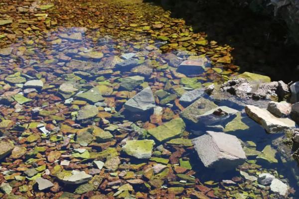 你們知道喝什麼水對身體才好嗎? 你們知道喝什麼水對身體才好嗎?