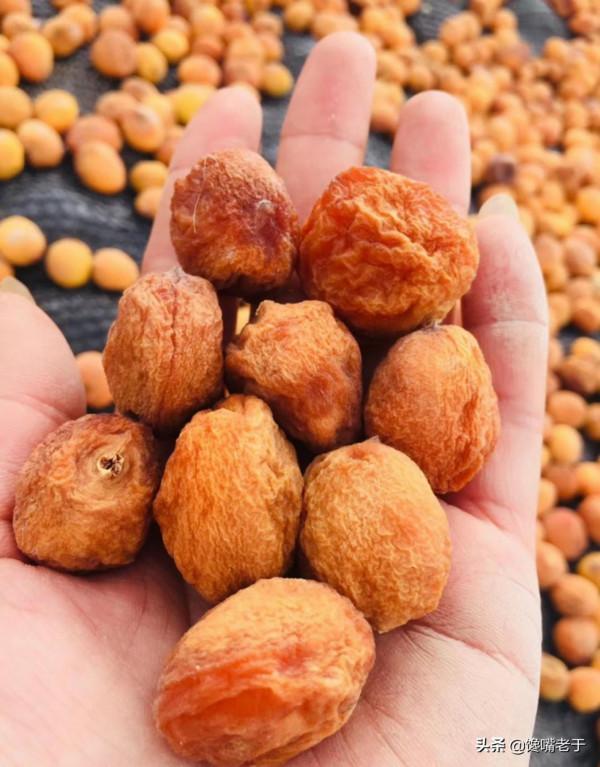 難道只有北方人才吃這些“水果”的？南方朋友：沒吃過，也沒見過