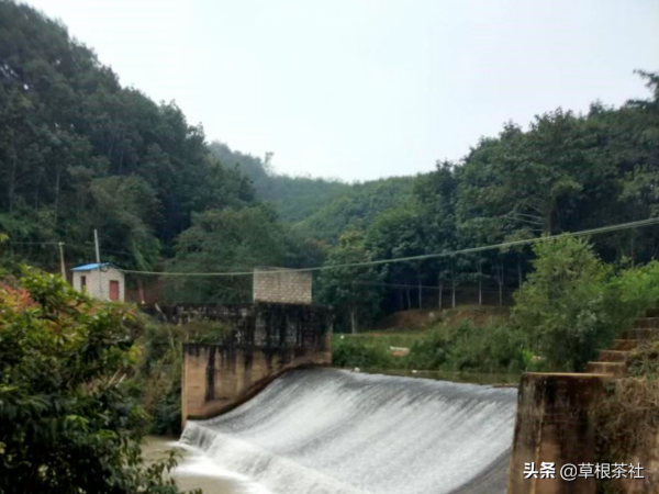 知青歲月：回城時她撿到一個棄嬰，這個棄嬰卻成了他們今生的陪伴