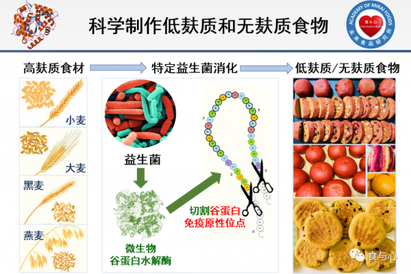 人體能消化麩質嗎？怎樣安全地吃麵食？