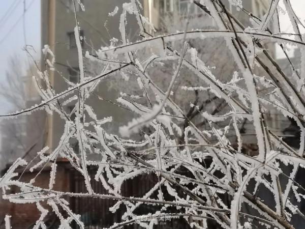 霧裡看凇｜冰城今日限定美景