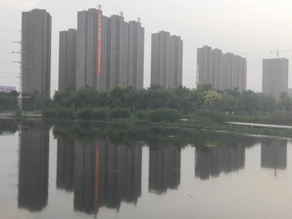 杜鵑河漫步觀鳥賦詩