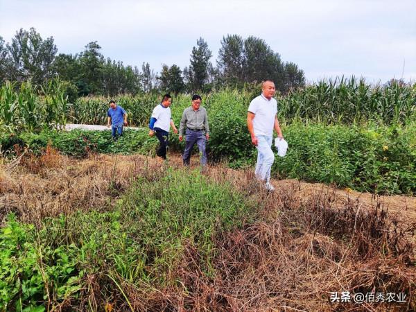 國家加大農業獎補力度，對農民種糧是個好訊息，2022年該如何調整