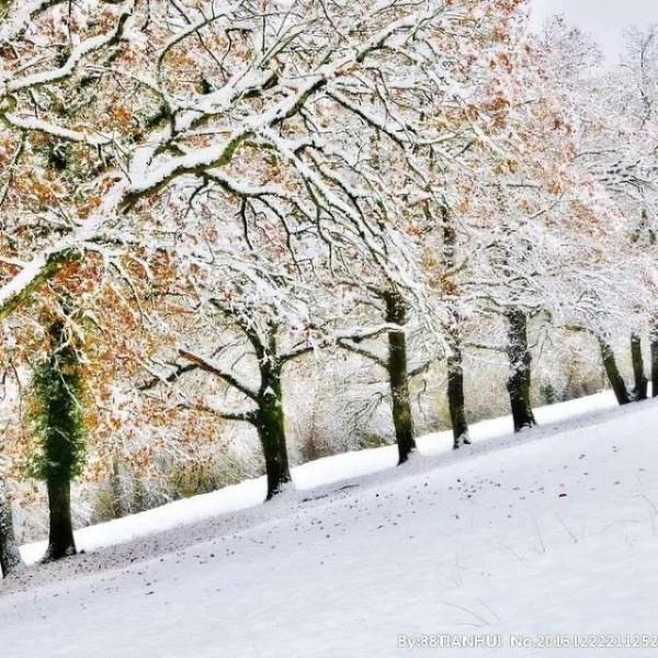 第一次走上講臺(原創) 第一次走上講臺(原創)