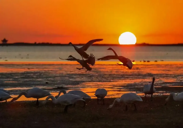 國內10個適合放鬆自己的旅行地，人少景美！疫情過後，就出發