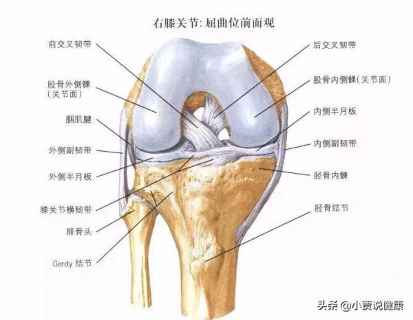 為什麼現在很多人動不動就生病呢？