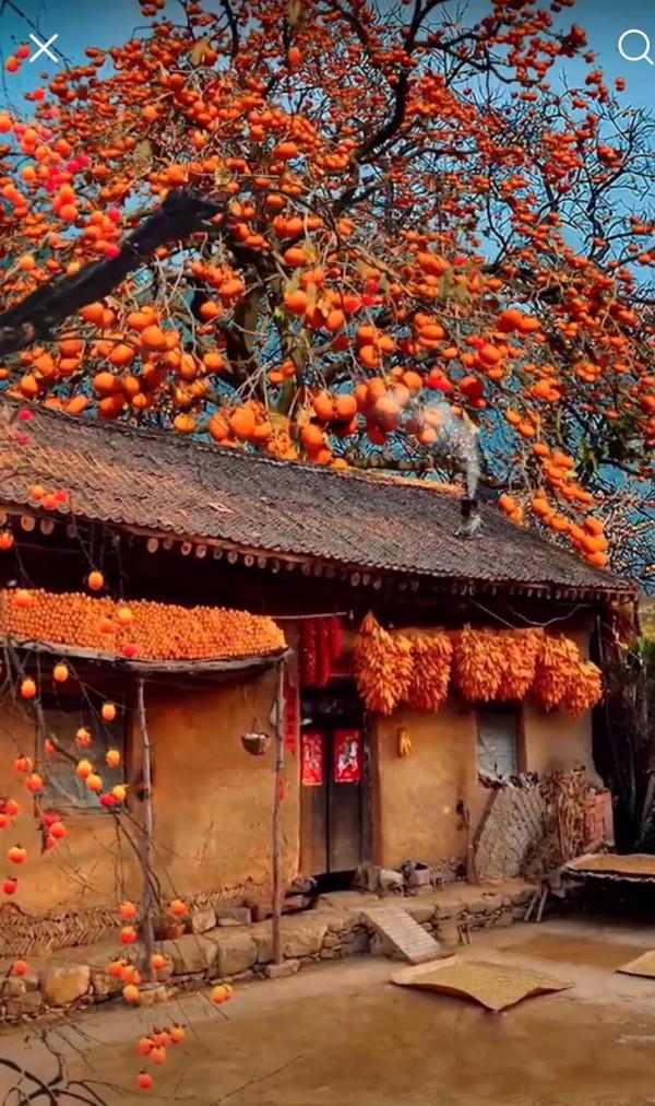 蔣勳讀講的紅樓夢有毒，週末卻偏要來上一碗，你細細地品