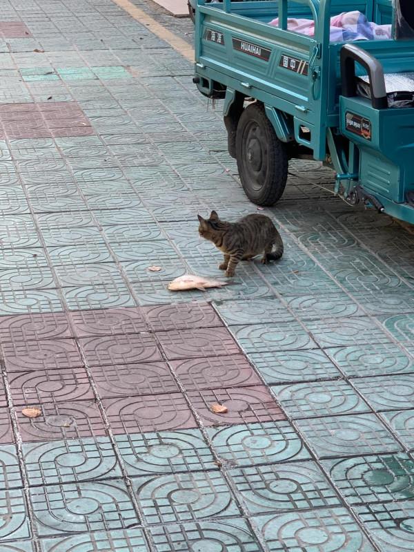 咪咪：幸福來的太突然了