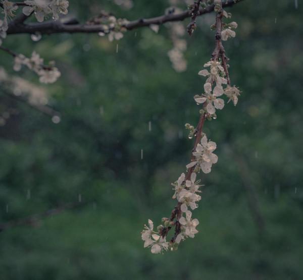撿脂日記（過年胖七斤，準備減）