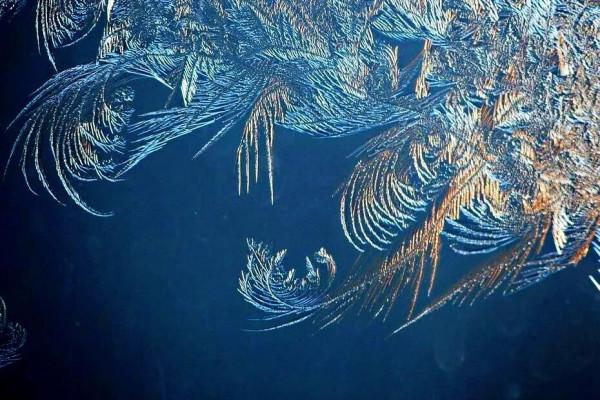 盛開在冬日窗欞上的冰窗花