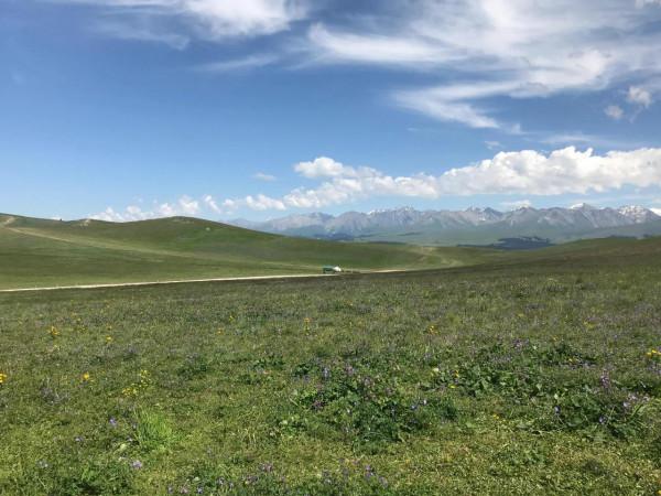 新疆之旅四：喀拉峻大草原